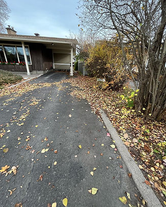 Fall Clean up services ottawa