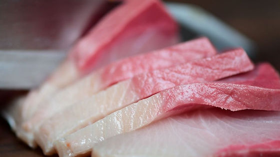 YellowTail Sashimi(20 pieces)
