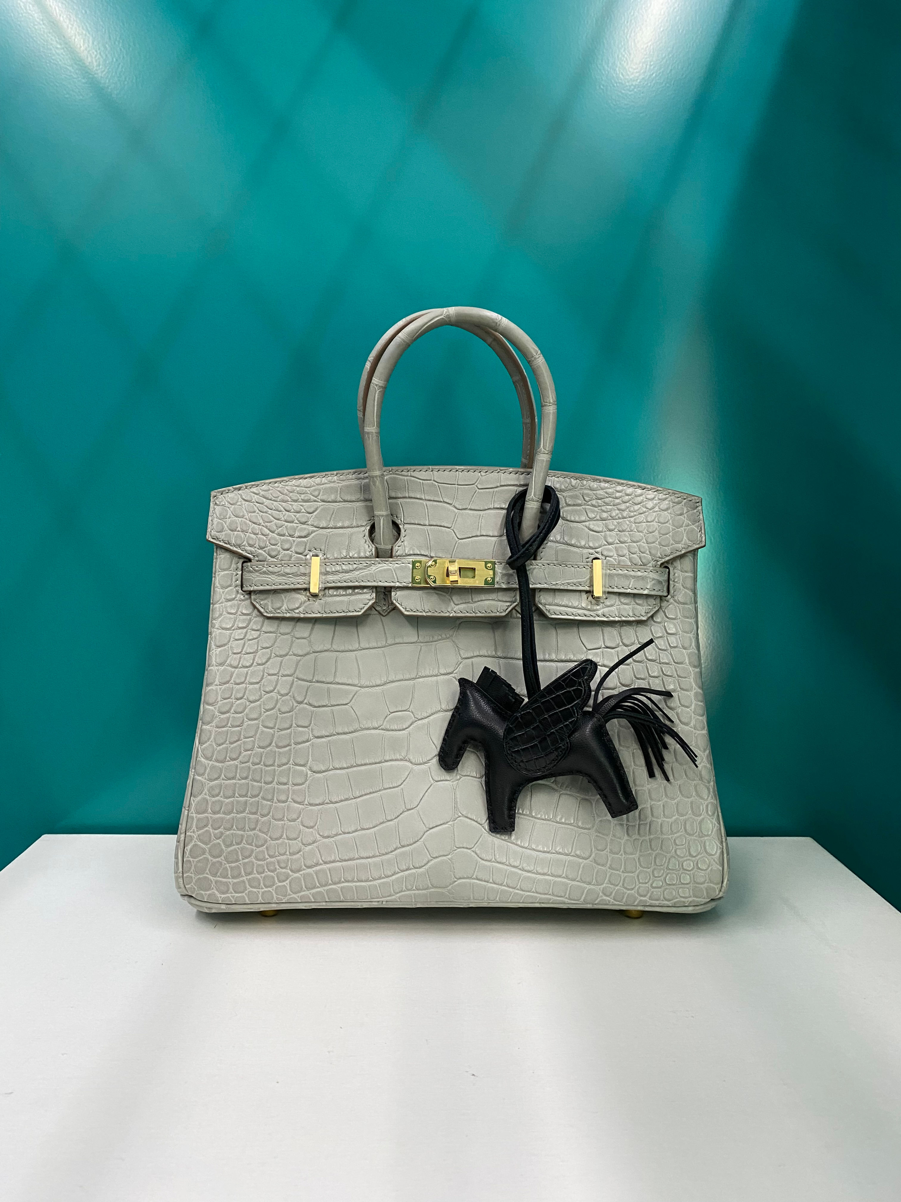 Hermes Birkin 25 Matte Mississippi Alligator Gris Perle