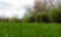 DSC03335.jpeg