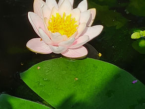 Embracing the Subtlety of Communication: Finding Depth in Simplicity