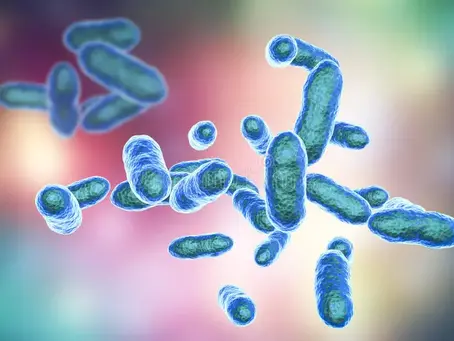 VivoGut: Unlock the Secrets of your Microbiome for a Healthier, more Vibrant you
