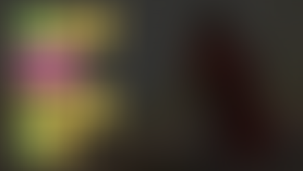 WWJD What Did Jesus Do