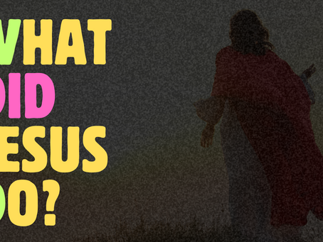 WWJD What Did Jesus Do