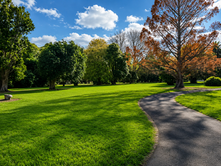 Botanical Gardens, Gisborne NZ