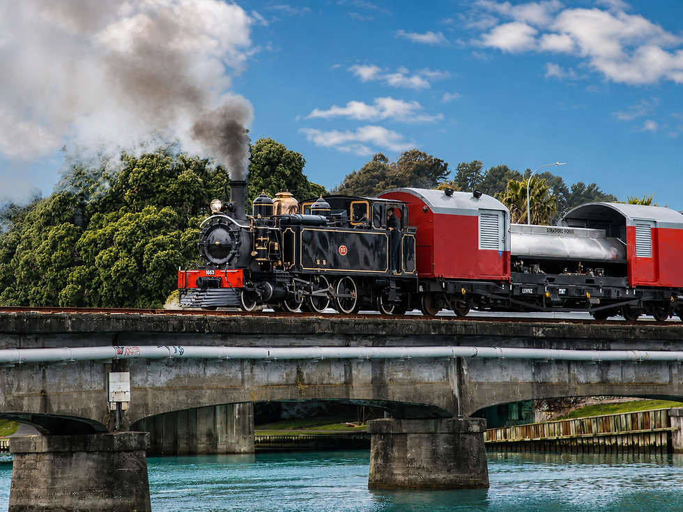 Gisborne's Wa165, the only surviving locomotive of its class in the world