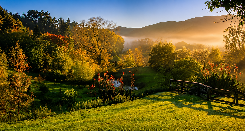 Eastwoodhill Arboretum, Gisborne NZ