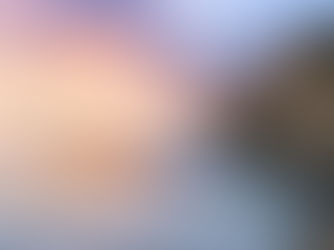 Gisborne Day Trips