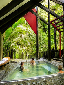 Hot Springs Hidden in a Rainforest