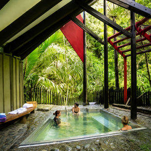 Hot Springs Hidden in a Rainforest