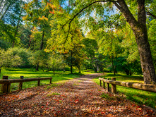 Eastwoodhill Arboretum, Rere, Gisborne NZ