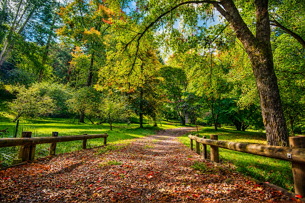 Eastwoodhill Arboretum, Rere, Gisborne NZ
