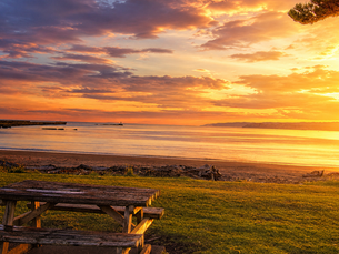 An empty picnic table awaits at Waikanae Beach, Gisborne NZ