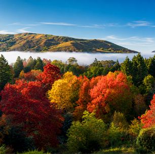 Top 10 Natural Attractions: The Best of Gisborne