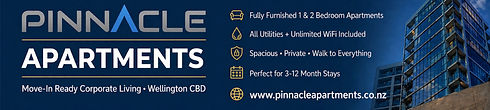 Pinnacle Banner