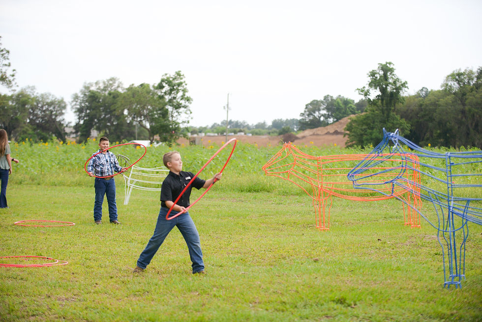 Hula Hoop Cows