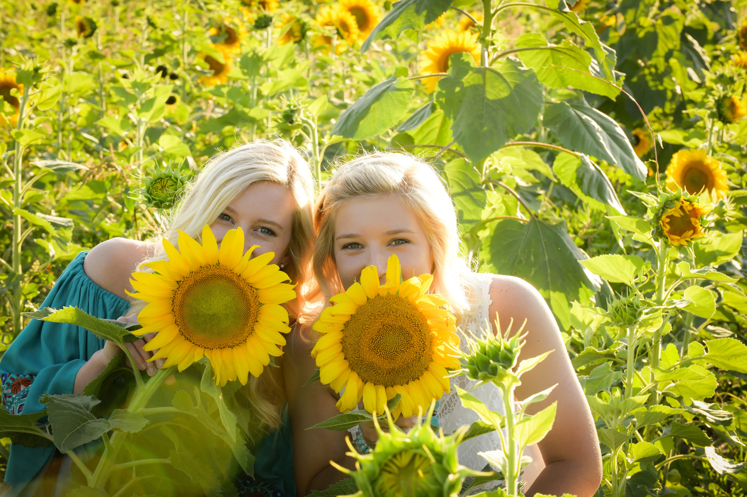 Amazing Grace Family Farms Subscribe