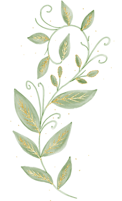 Planta-01.png