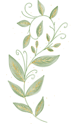 Planta-01.png