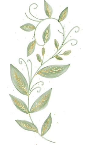 Planta-01.png