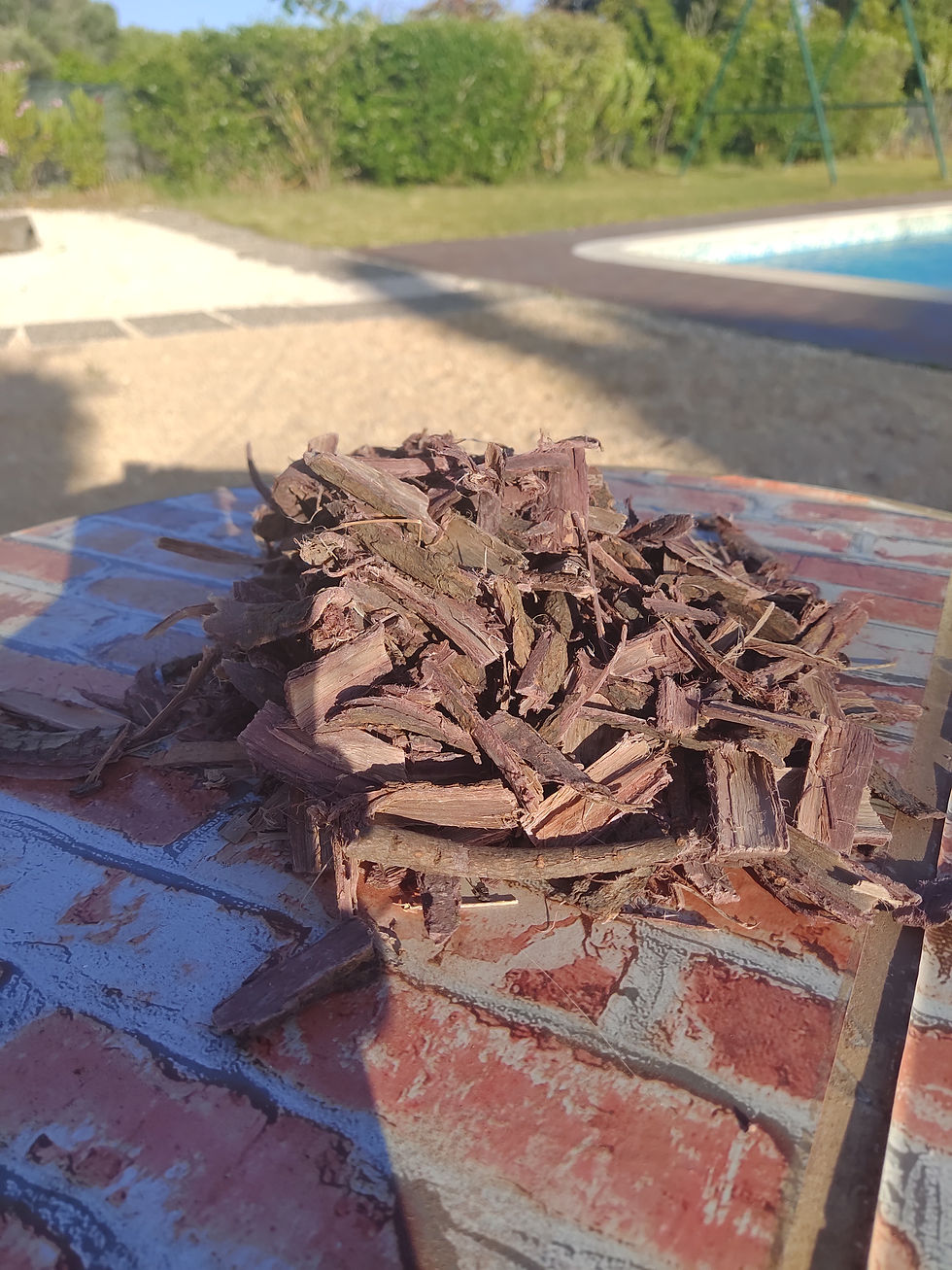 Thumbnail: Mimosa Hostilis Root Bark 100kg - MHRB