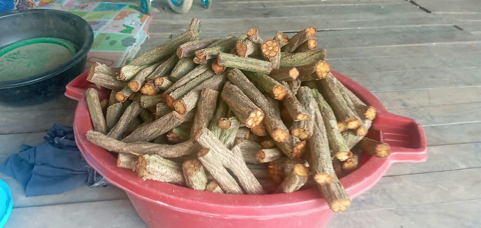 Thumbnail: Caapi Vines - 2 Kg.