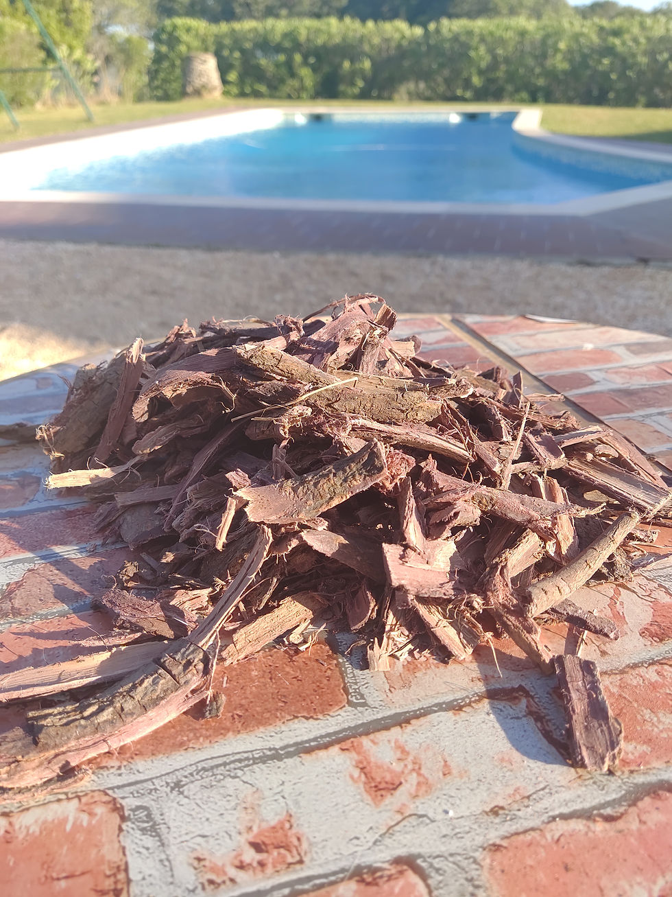 Thumbnail: Mimosa Hostilis Root Bark 100kg - MHRB