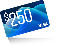 $250.png