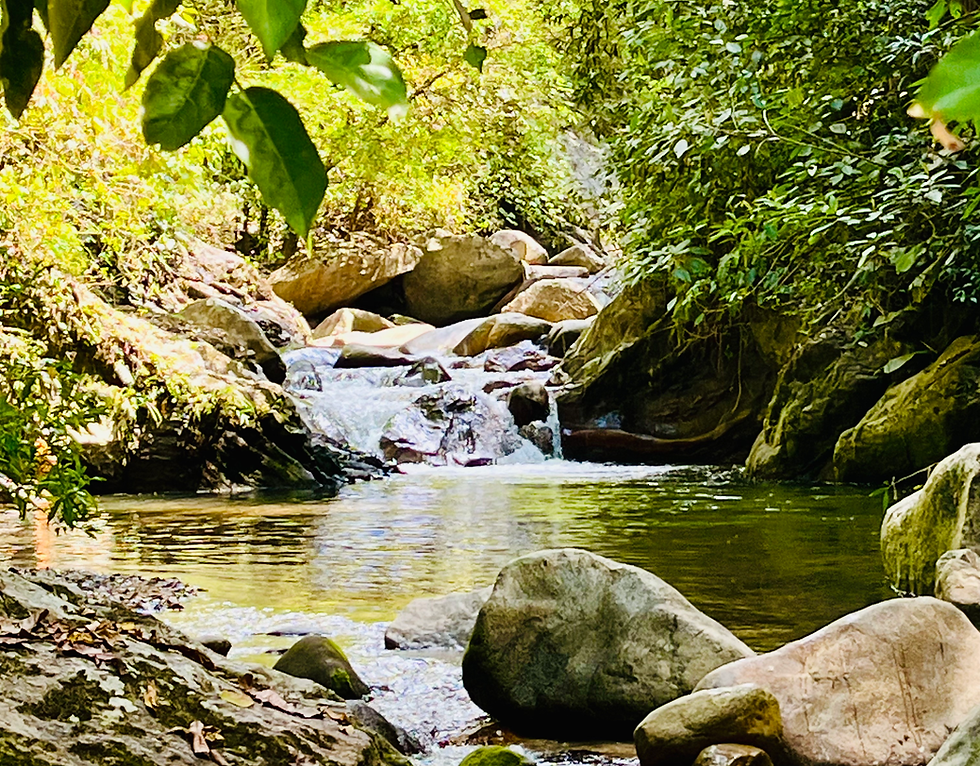Op Reis naar het Hart van de Aarde