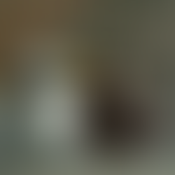 YEASTIE BOYS: DIGITAL IPA