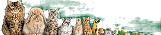 ChatGPT Image Aug 3, 2026, 02_34_21 PM arranged_edited.png