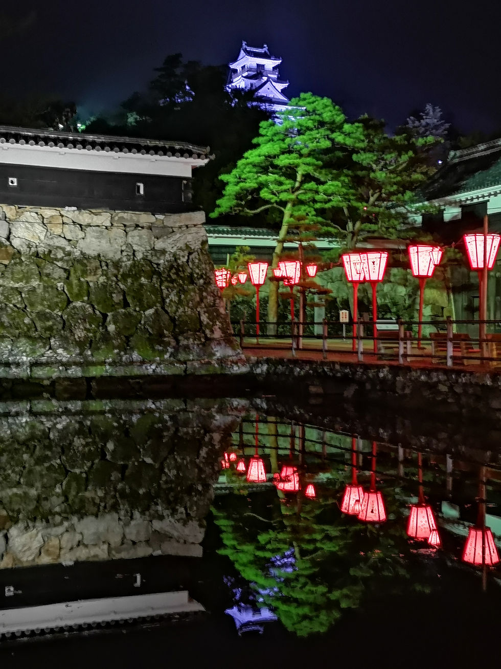 The outer walls of Kochi Castle