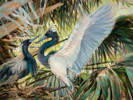 An acrylic painting of a Tri-Colored Heron.