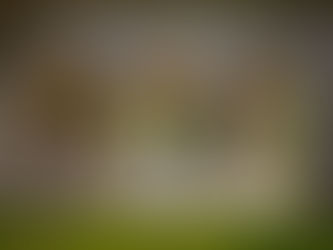 An engagement couple sharing a kiss.