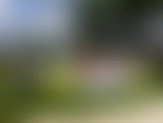 Autogolf