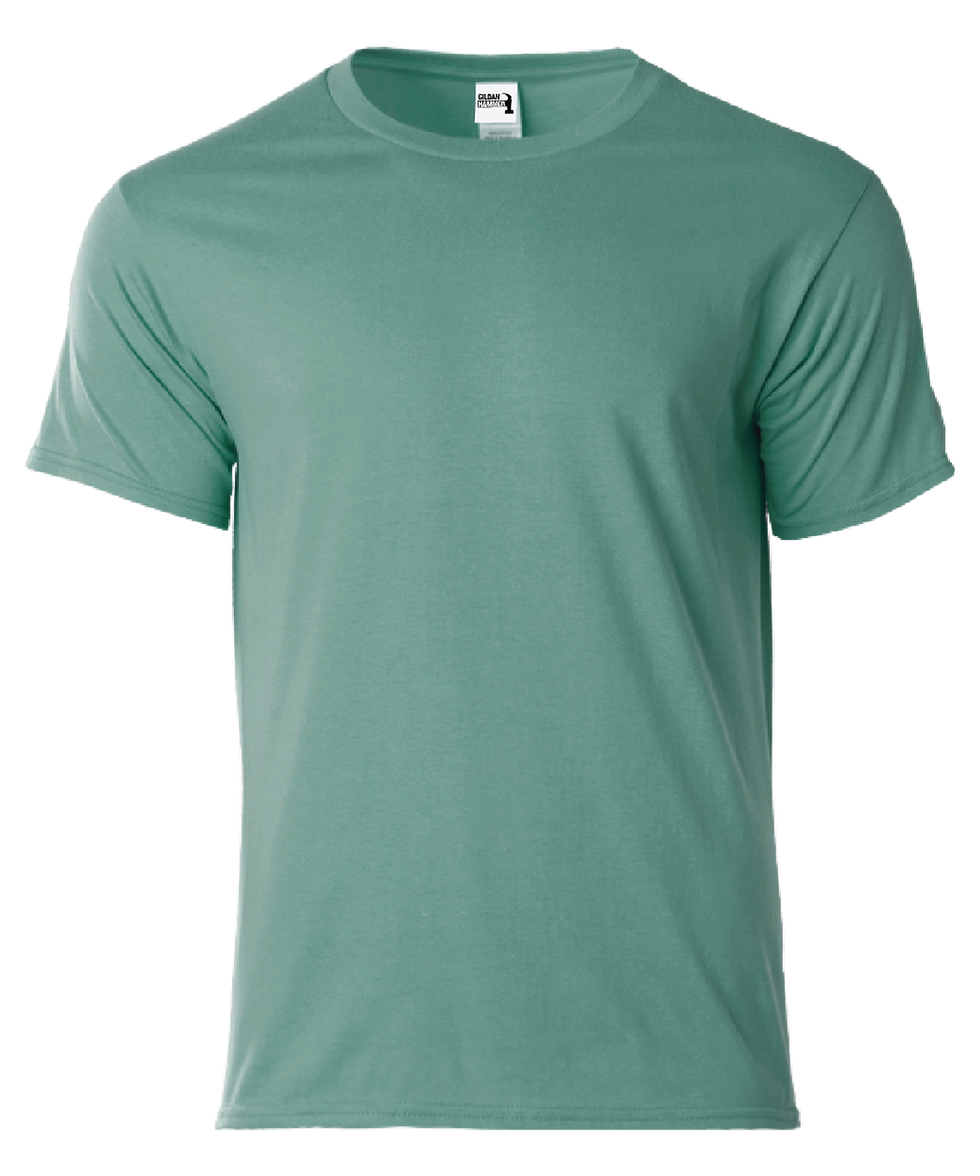 Thumbnail: GDHA00 - Heavyweight Adult T-Shirt