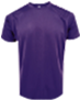 Thumbnail: PBP901 - Adult Round Neck T-Shirt