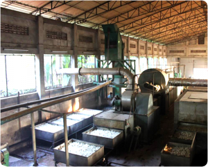 Pho La Min Natural Rubber Factory