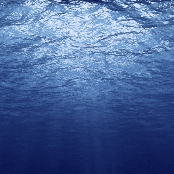 LA MER