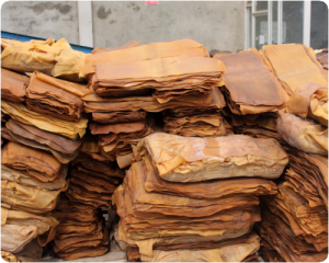 Pho La Min Natural Rubber Production