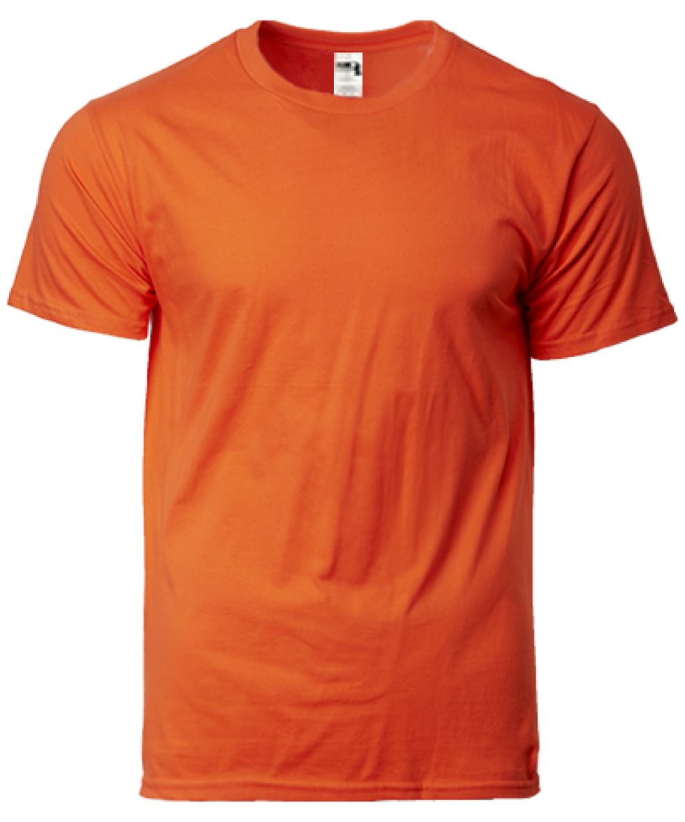 Thumbnail: GDHA00 - Heavyweight Adult T-Shirt