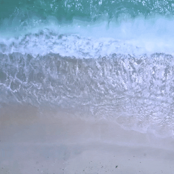 LA MER