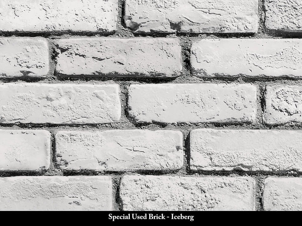 Thumbnail: Special Used Brick