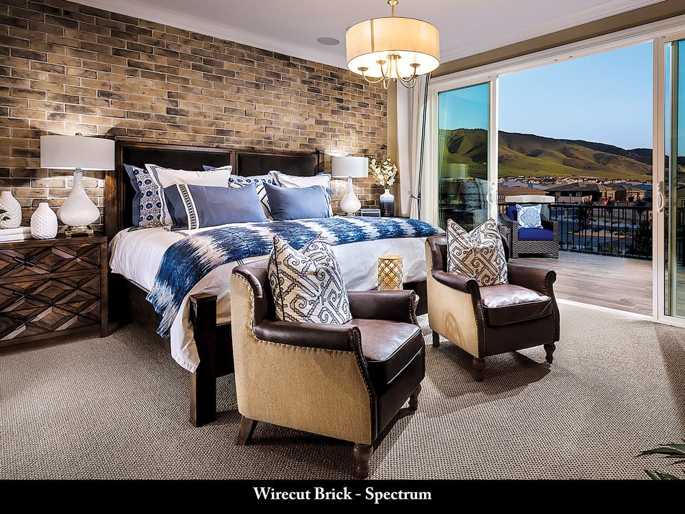 Wirecut Brick