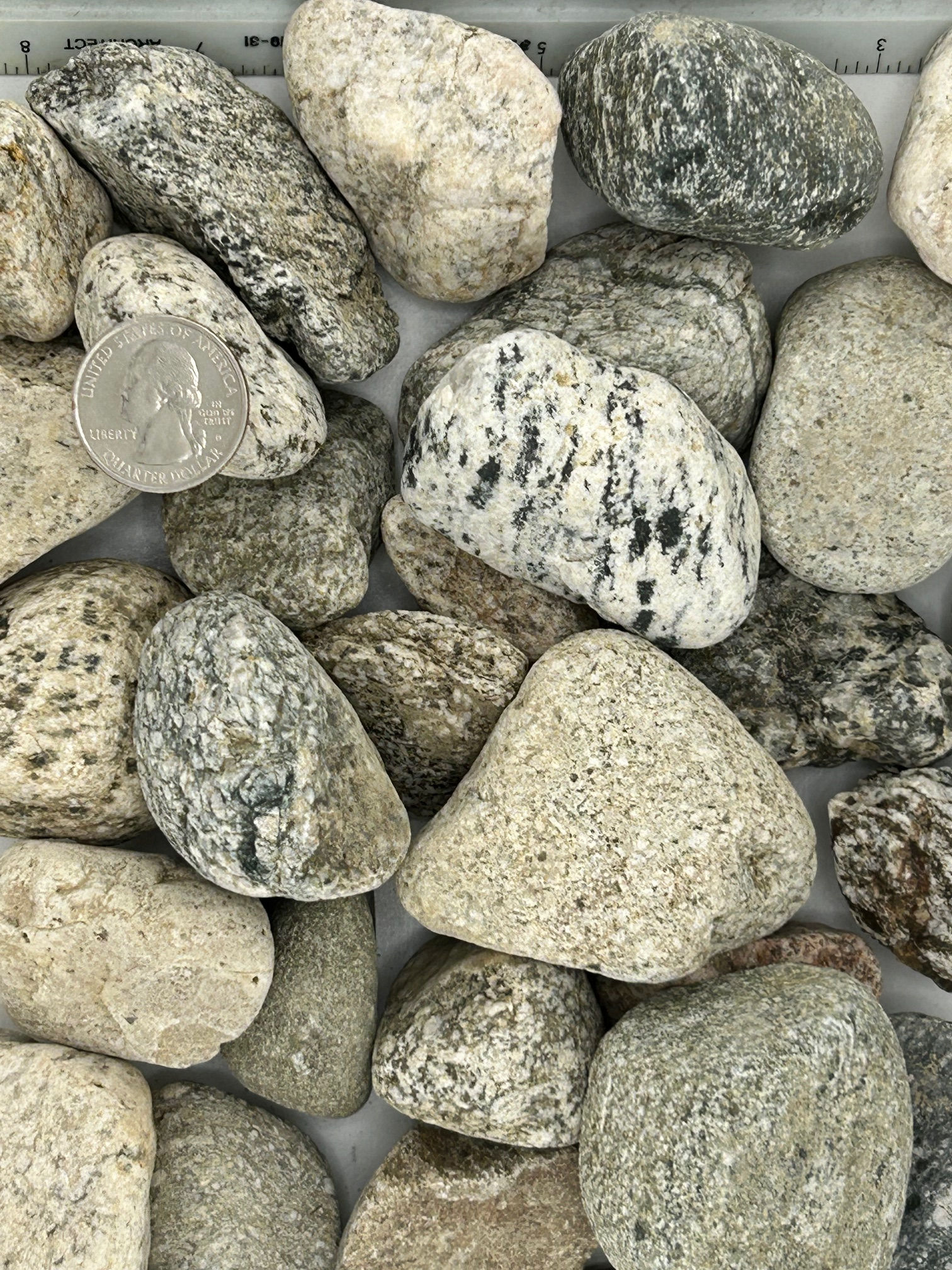Leopard Granite (1 1/2" - 2 1/2")
