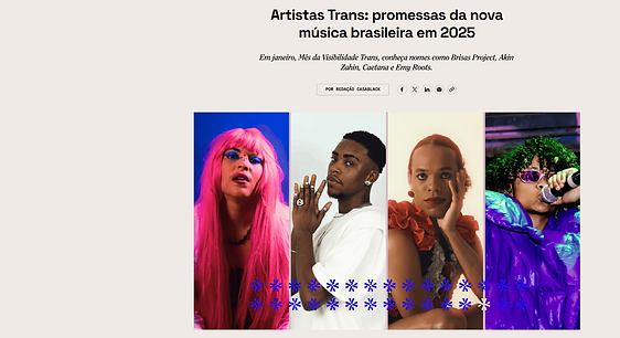 Captura de tela 2025-01-23 004735.png
