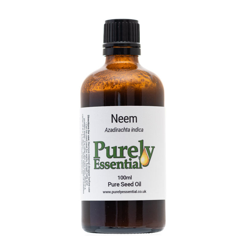 Thumbnail: Neem seed Oil (Azadirachta indica)