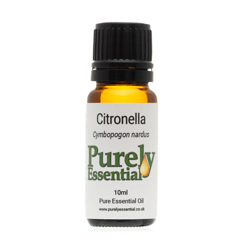 Thumbnail: Citronella Essential Oil (Cymbopogon nardus)