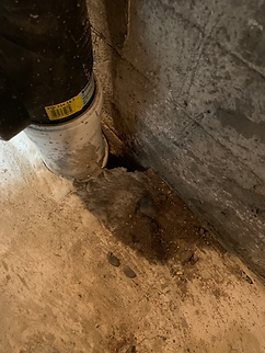 Abwasserrohr defekt. Rattenzulauf Rattenbefall möglich. Avispa schädlingsbekämpfung
