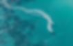 Bateau de location avec bouée tractée